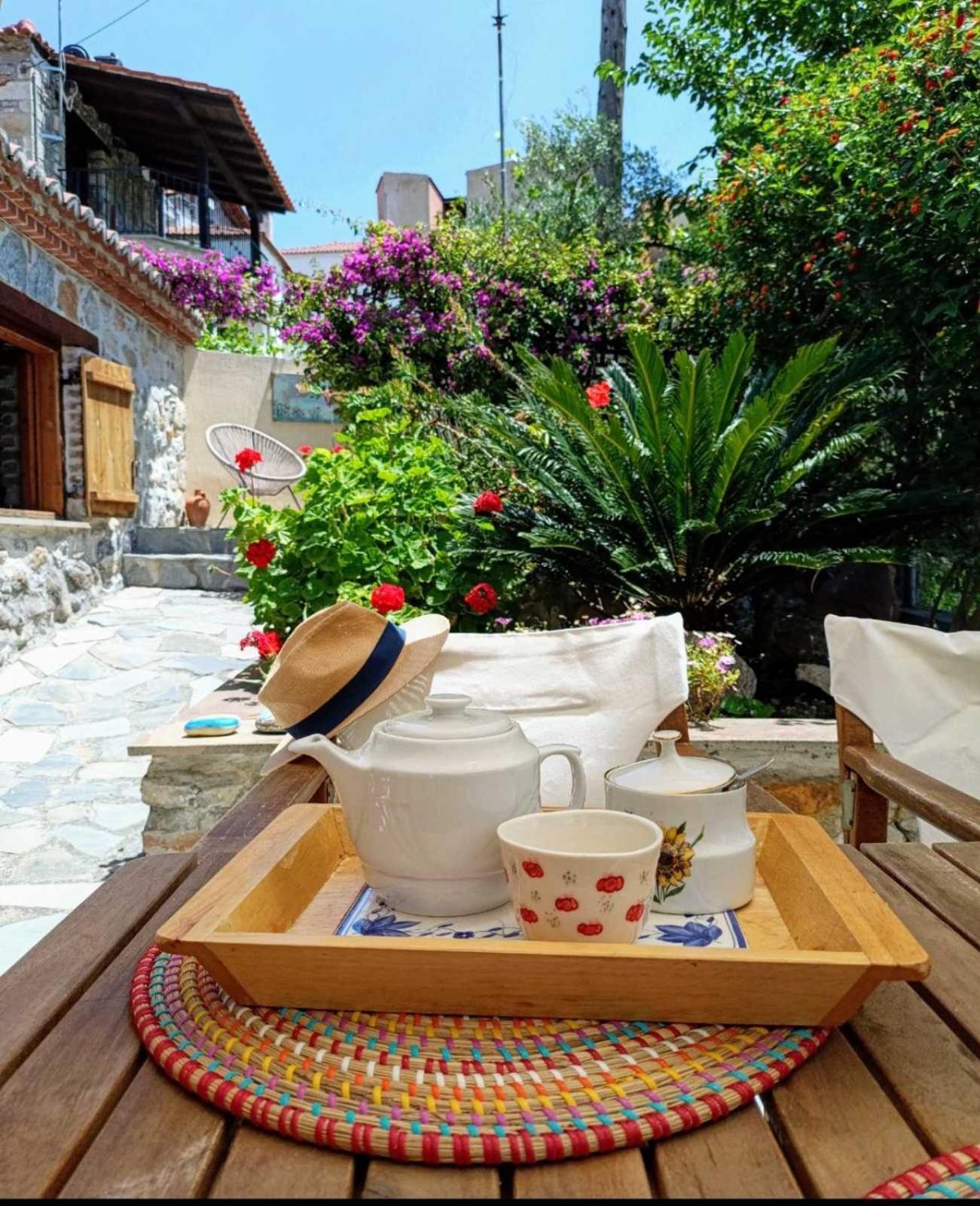 Paliouri House别墅 外观 照片