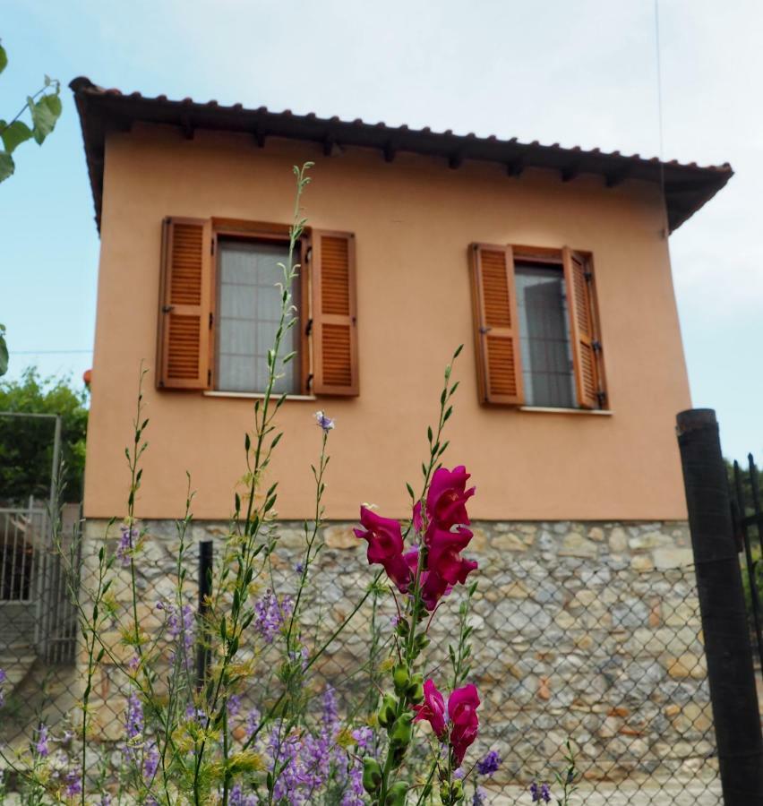 Paliouri House别墅 外观 照片